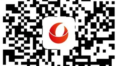 日本女篮对决西班牙2026世界杯举办城市官网：2026数据对决全解析，不容错过的赛事实录
